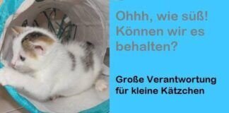 WISSENSWERTES – Das große Babyglück?