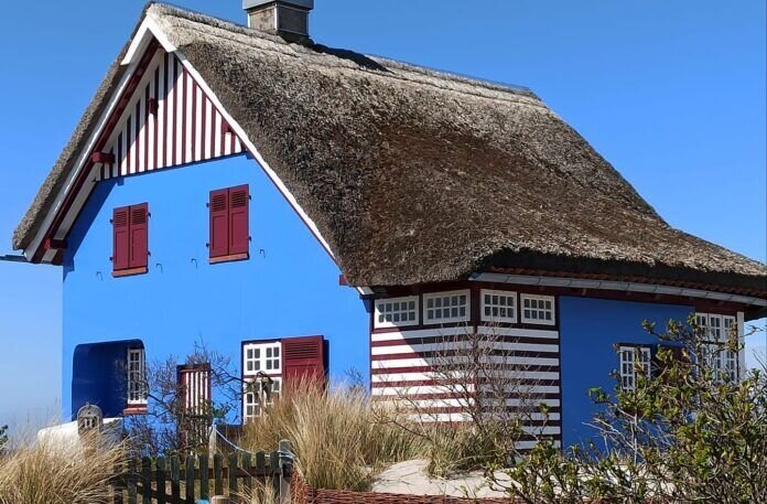 176582690_5918543121492898_909742917007083519_n