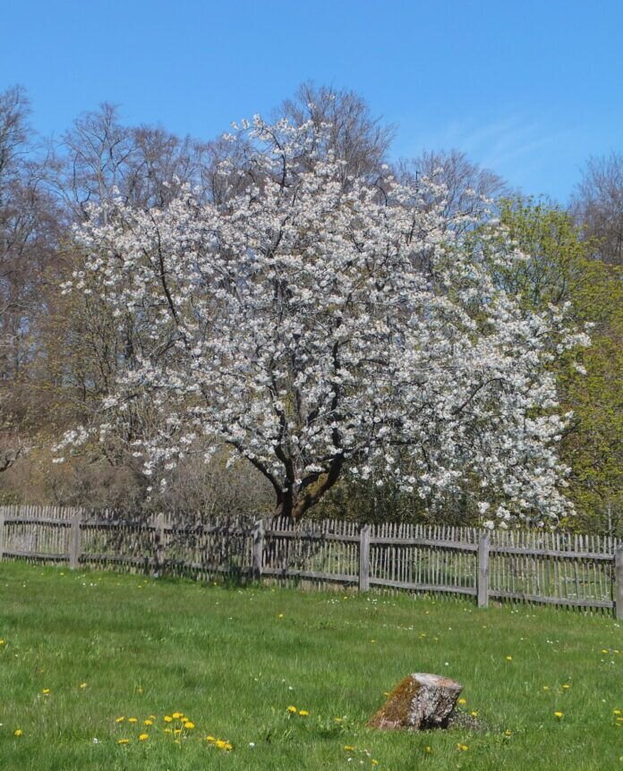 177741301_897090637810671_5834968208685421088_n