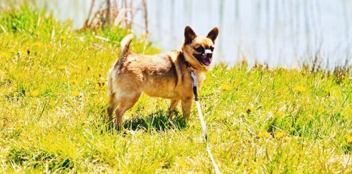 178568717_4310631205633396_3795040821935872799_n_InPixio