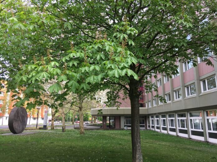 Gießener_Arbeitsagentur