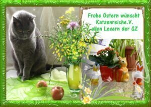 Frohe Ostern wünscht Katzenreich e.V. allen Lesern