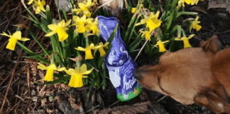 ⚠️ Achtung ⚠️