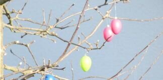 Bürgerreporter helfen Bürgerreportern