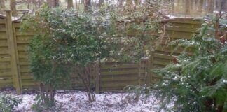 kurze Hagelschauerüberraschung