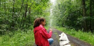 Tolles ehrenamtliches Engagement!