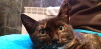 Betty sucht Menschen zum Liebhaben!