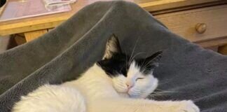 Maya, die kleine Genießerin! Vermittelt!