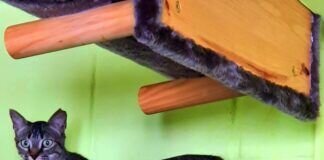 Kleine Schönheit Chiara!