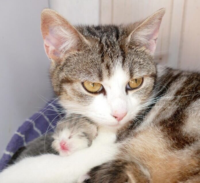 Bild der Woche 19 P3270091a