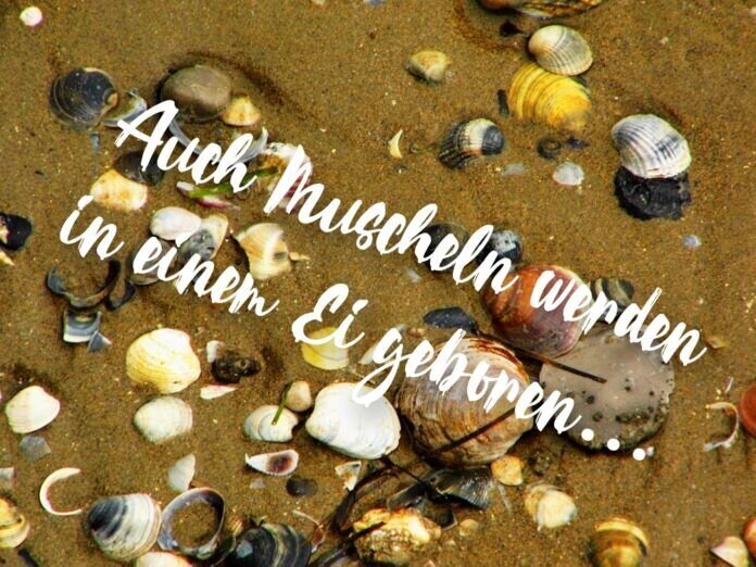 CollageMaker_20210509_085556221 Aus dem Ei entsteht neues Leben