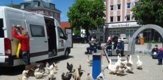 Coronalockerungen – die “Artisten” des Circus Liberta gehen in die City