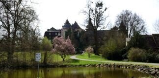 Frühlingserwachen im Laubacher Schlosspark.