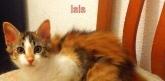 Bunt wie die Mama, so die Tochter!