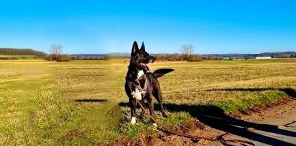 Kira3-Eraser_InPixio