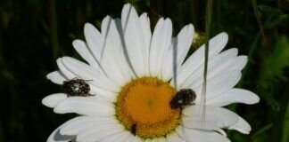 Neues aus der Wilden Ecke