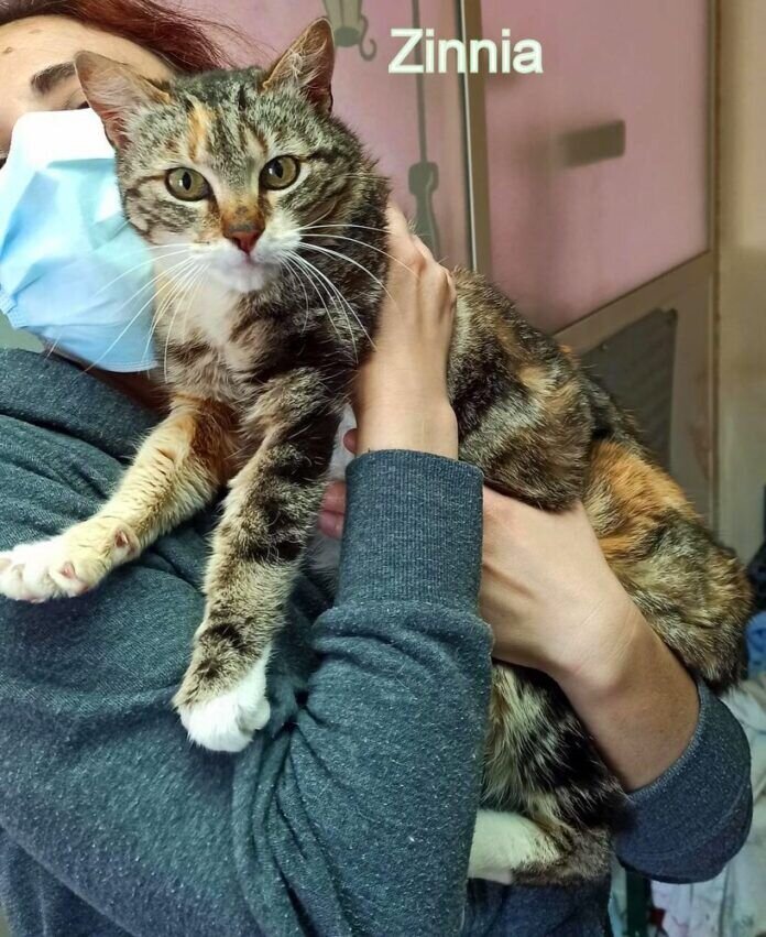 WhatsApp Image 2021-05-02 at 16.12.42 (1)-1