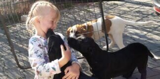 Kinder und Tiere, was kann es Schöneres geben?