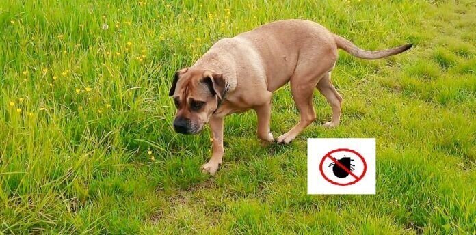 WhatsApp Image 2021-05-12 at 09.07.08_InPixio