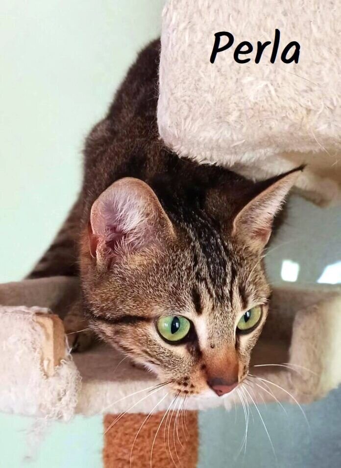 WhatsApp Image 2021-05-15 at 15.23.21-2