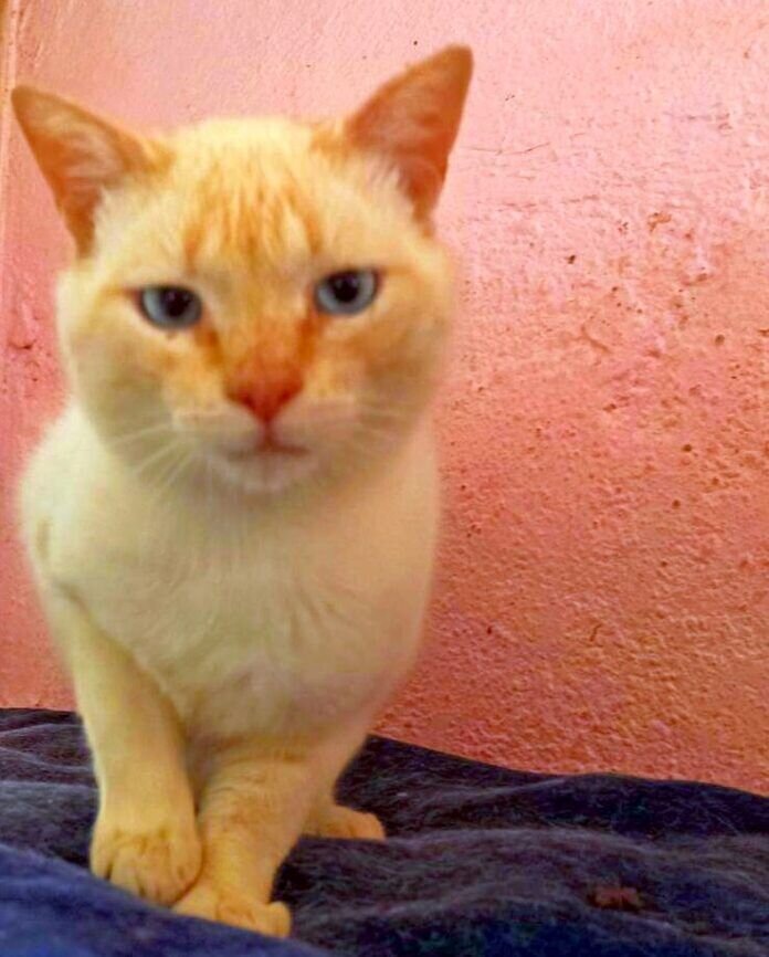 WhatsApp Image 2021-05-15 at 15.24.20-1