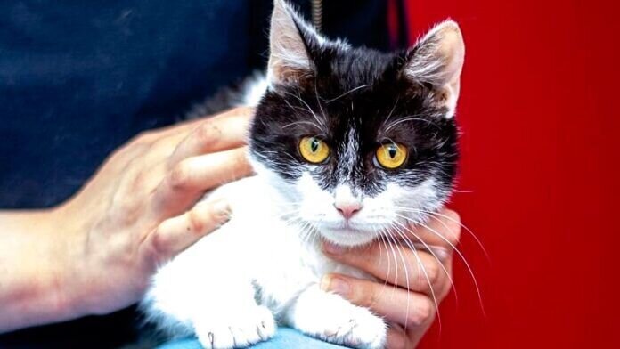 197803371_4439499399413242_5537903755732922054_n-Eraser_InPixio