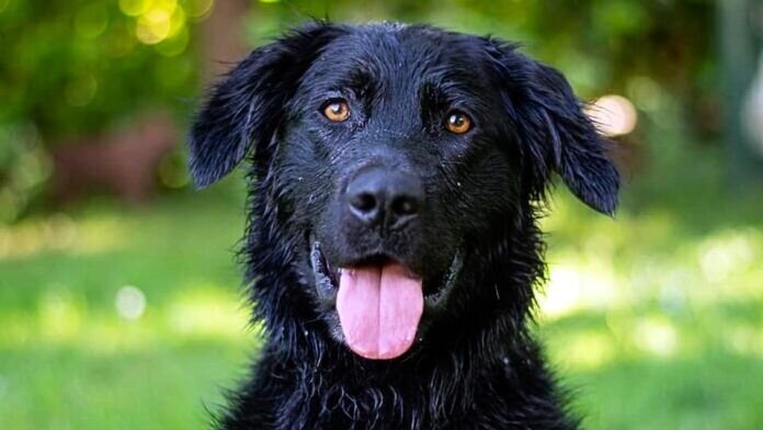 199823820_4461777230518792_7525585025089748997_n_InPixio