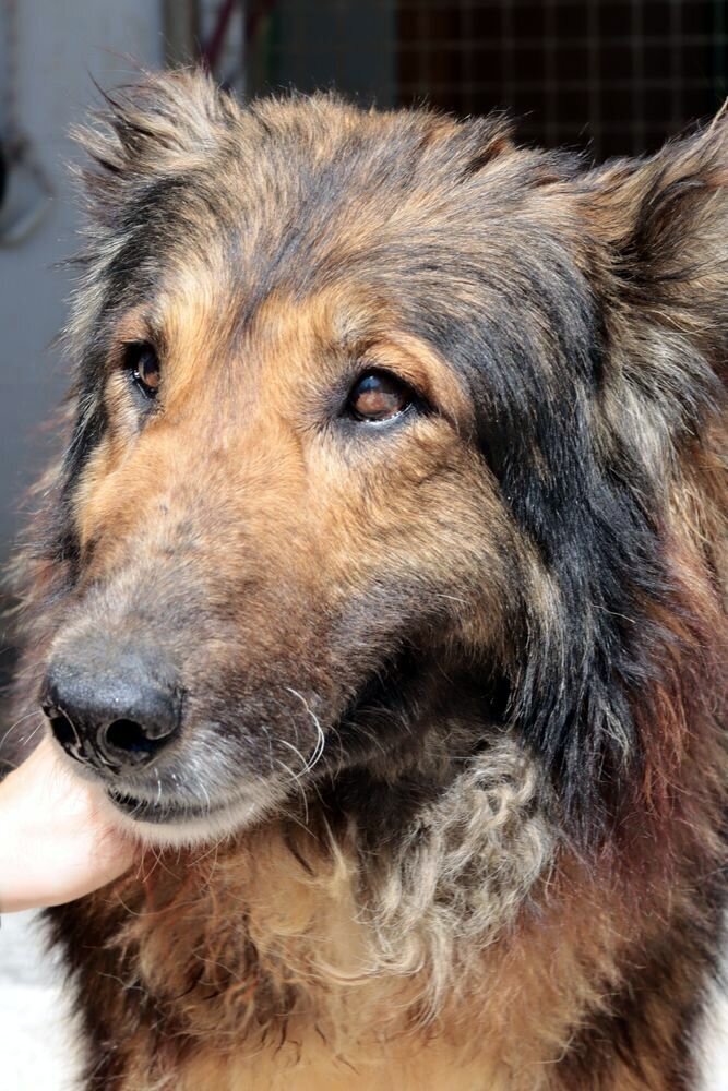 2021-03-21 14.34.58 VARON (3)