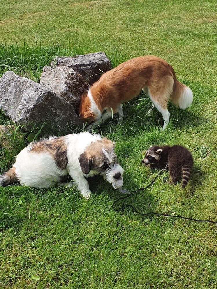 Geliebt und gehasst! | Gießener Zeitung