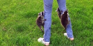 Geliebt und gehasst!