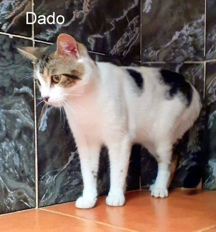 IMG-20210526-WA0030-1