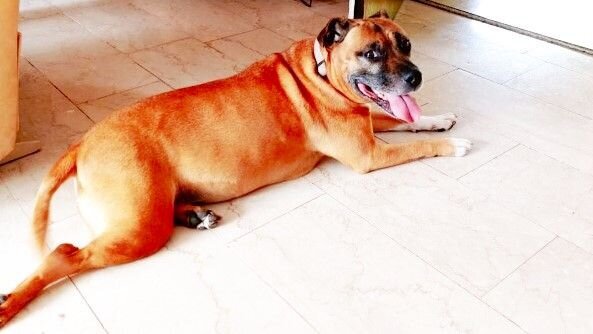 IMG-20210625-WA0005_InPixio_InPixio