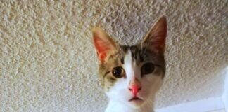 Uns gibt es nur im Doppelpack!