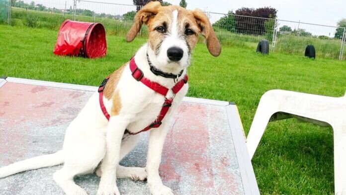 IMG_20210604_094012-scaled_InPixio