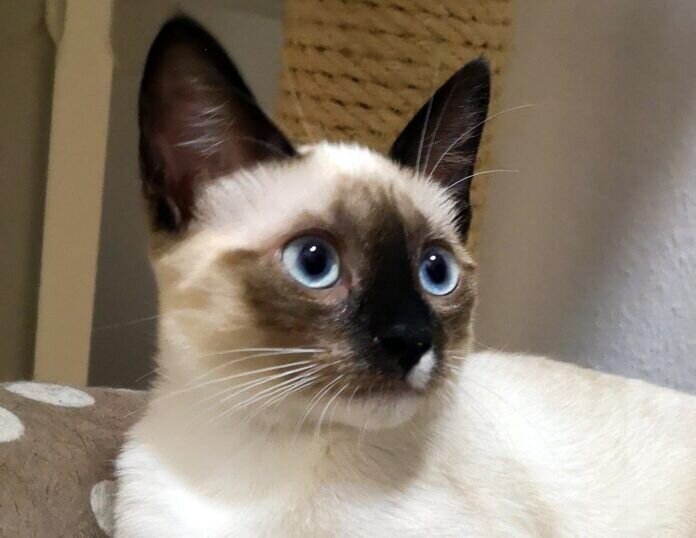 IMG_20210622_125757_1 - Kopie