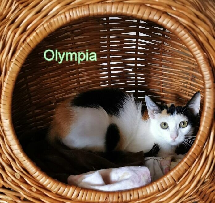 IMG_20210626_162020_1-1