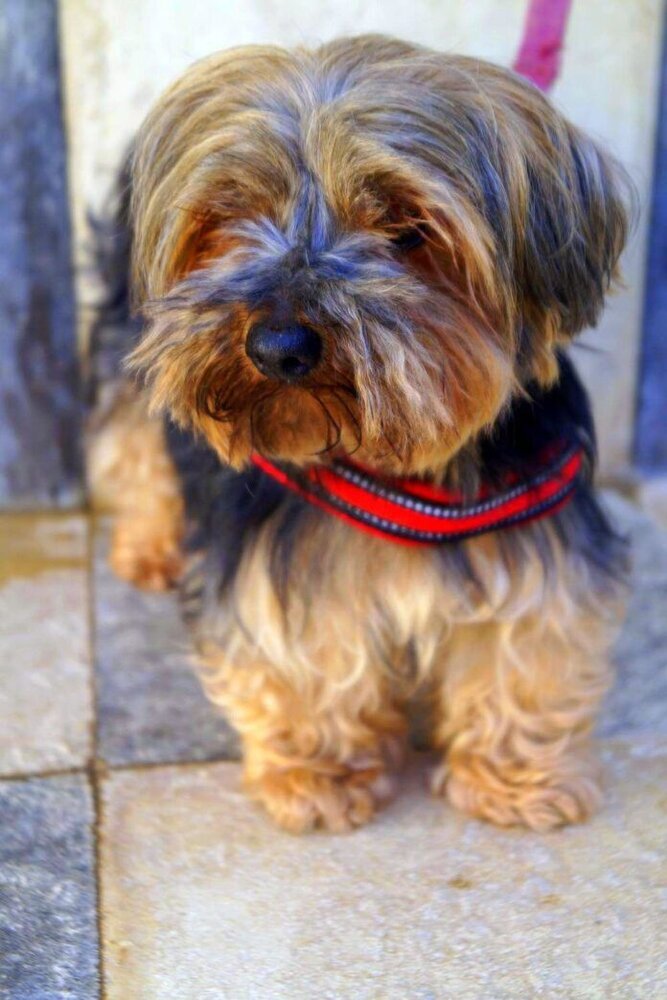 P210607_02 CRISTINA H10 (2)