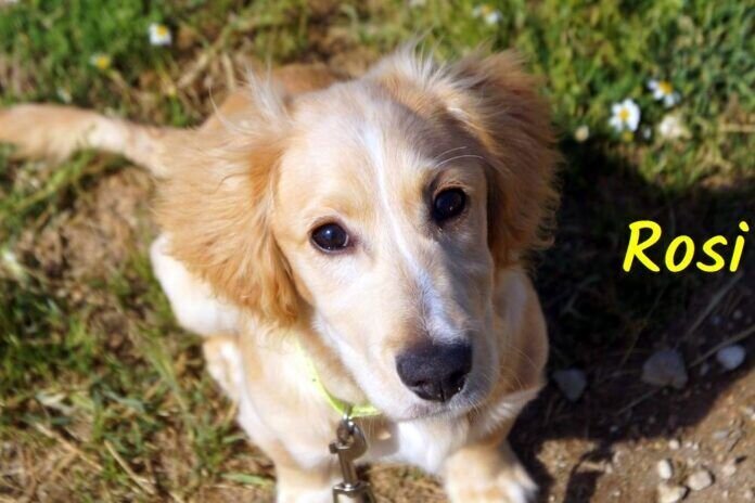 WhatsApp Image 2021-05-30 at 20.32.54 (1)