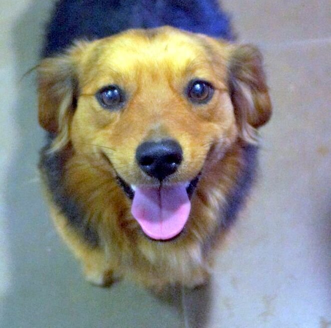 WhatsApp Image 2021-05-30 at 20.34.03