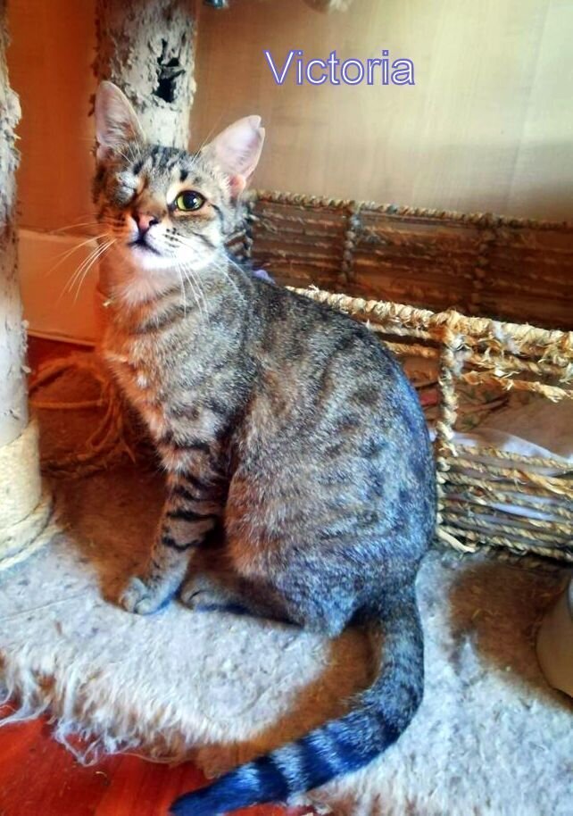 WhatsApp Image 2021-06-01 at 18.35.47