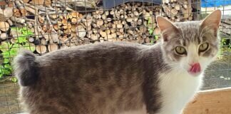 Warum möchte uns denn keiner?