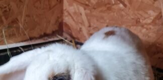 Der kleine Charmeur Liam!