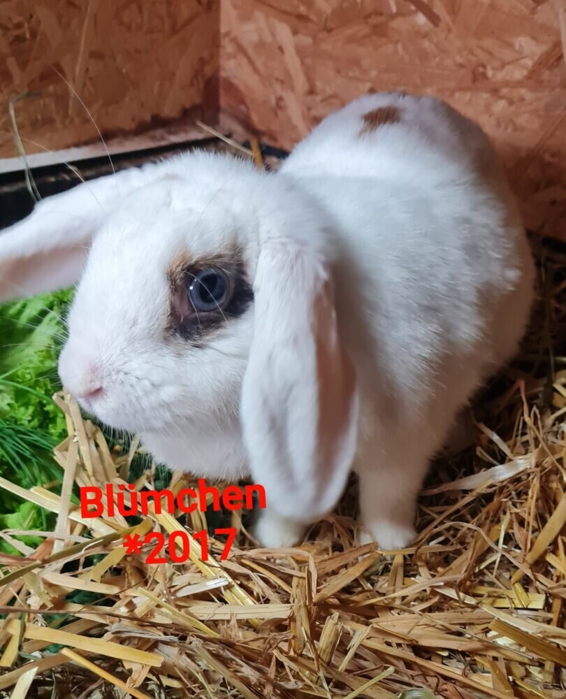 215672494_1234879286968319_5855180322816677341_n