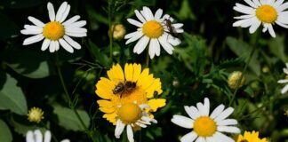 Mit dem RADL unterwegs – kurze Rundtour führte mich durch die nahe Region.