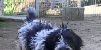 Mir gehört die Welt!