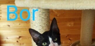 Drei fröhliche Geschwisterchen!