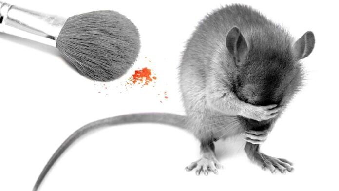 Tierversuche-Kosmetik-Maus-Pinsel_InPixio