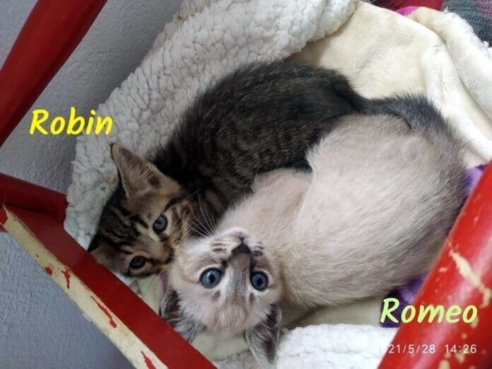 WhatsApp Image 2021-06-05 at 21.12.14