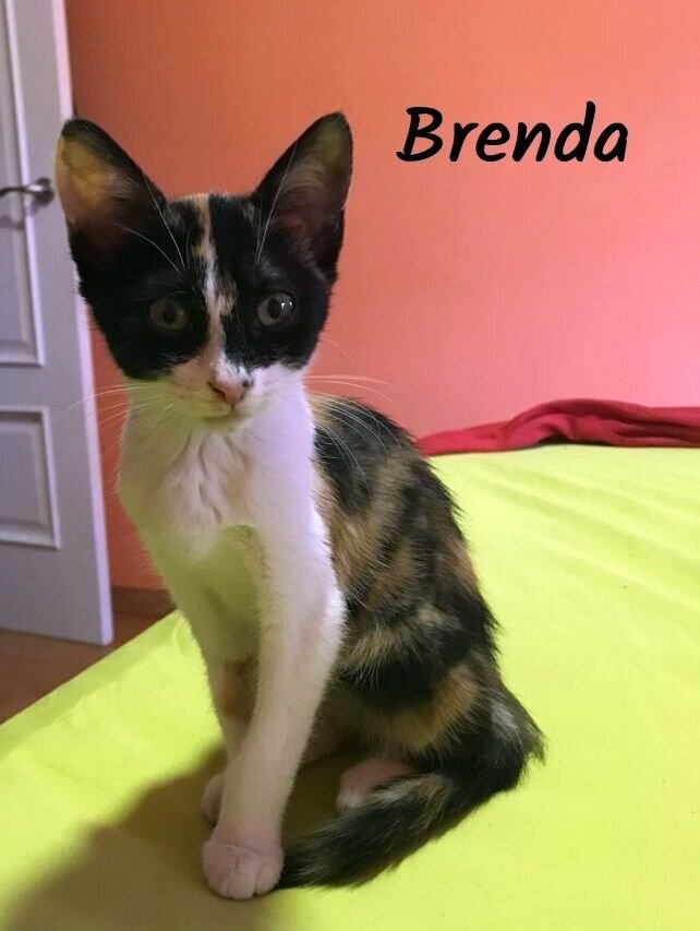 WhatsApp Image 2021-06-15 Brenda (1)