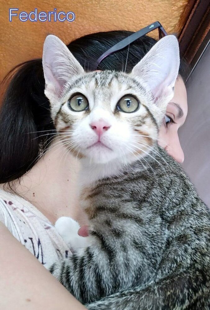 WhatsApp Image 2021-06-22 at 19.44.13 (2)